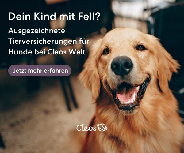 Cleos Welt: Tierversicherungen für Hunde